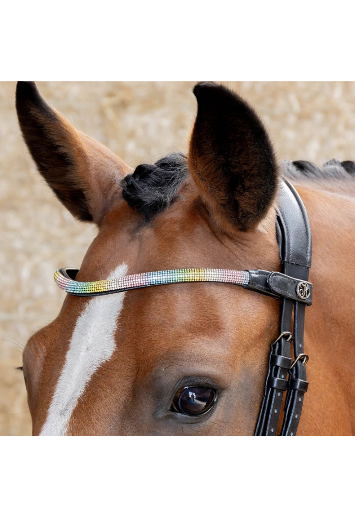 Frontalino Harry's Horse Rainbow