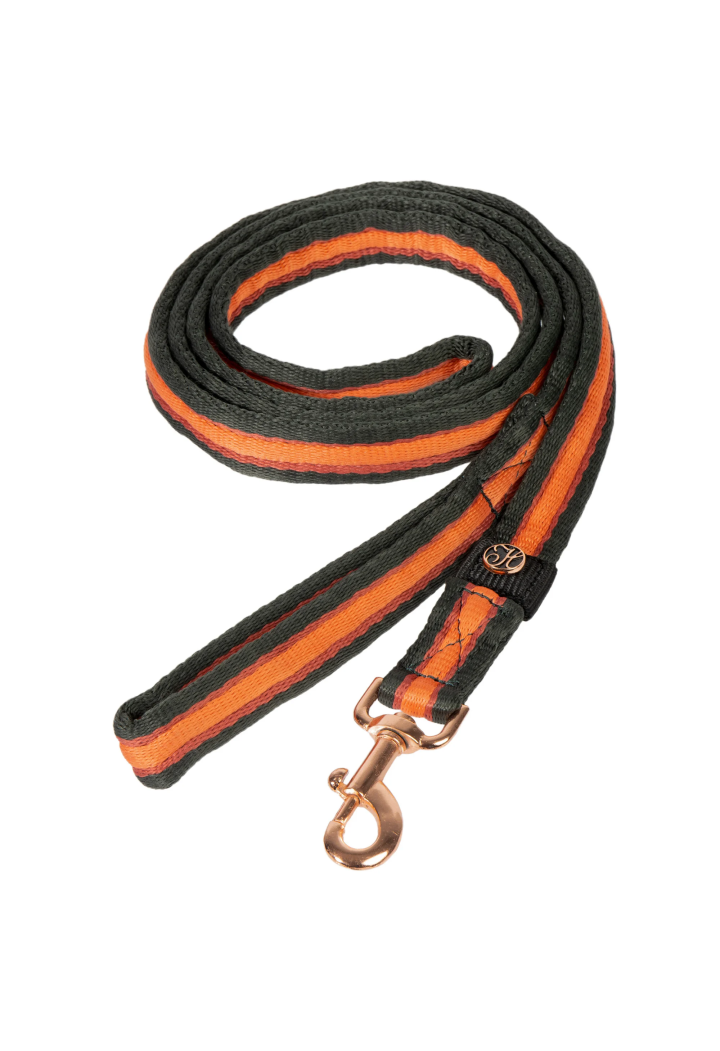 Lunghina Harry's Horse Soft Stripe 26AW