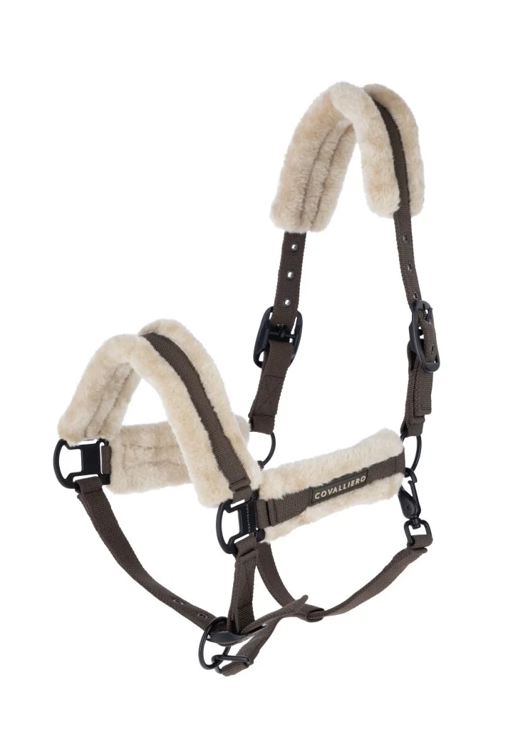 Cavezza COVALLIERO Soft 26AW