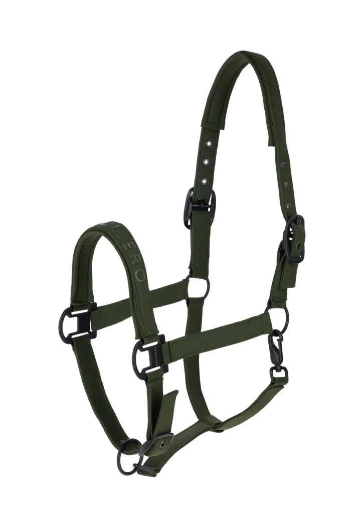 Cavezza COVALLIERO 26AW