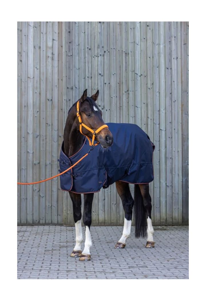 Coperta da paddock COVALLIERO 100g 26AW