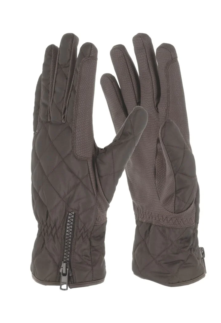 Guanti Arktis COVALLIERO 26AW