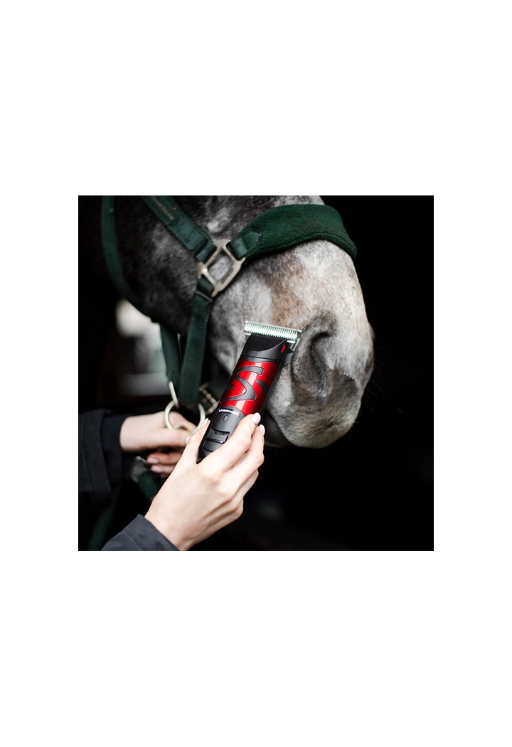 LIVERYMAN Harmony Plus clip per capelli