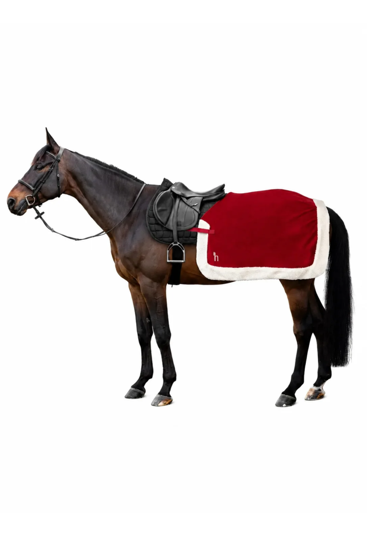 Formazione Coperta per cavalli HORZE Christmas Red